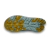 HokaS_002.png